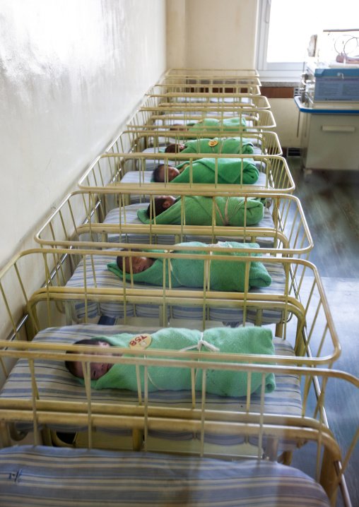 Newborn babies in a maternity, DGC, Pyongyang, North Korea