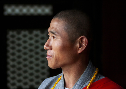 Monk at Ryongthong temple, Ogwansan, Ryongthong Valley, North Korea