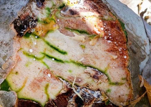 Frankincense resin drops from a Boswellia tree, Dhofar, Wadi Dawkah, Oman