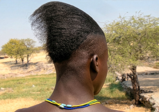 Himba tribe man with a special hairstyle which shows he is single, Cunene Province, Oncocua, Angola