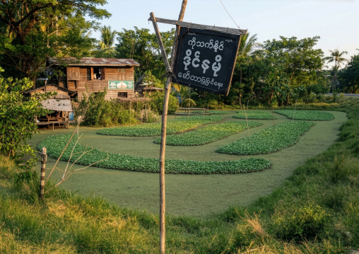 House in the country, Rakhine State, Ngapali, Myanmar