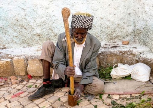 Old man without teeth crashing qat to chew In the street, Harari Region, Harar, Ethiopia