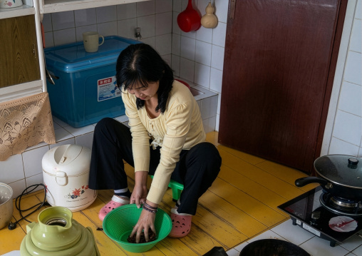 North Korean kitchen in a homestay, North Hamgyong Province, Jung Pyong Ri, North Korea