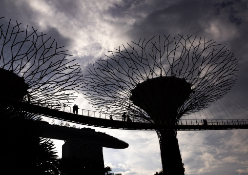 Supertrees at  Gardens by the Bay, Central Region, Singapore, Singapore