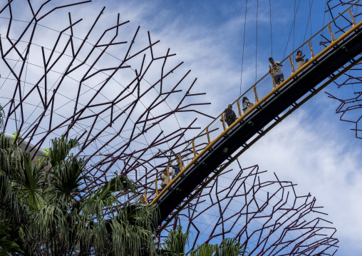 Supertrees at  Gardens by the Bay, Central Region, Singapore, Singapore