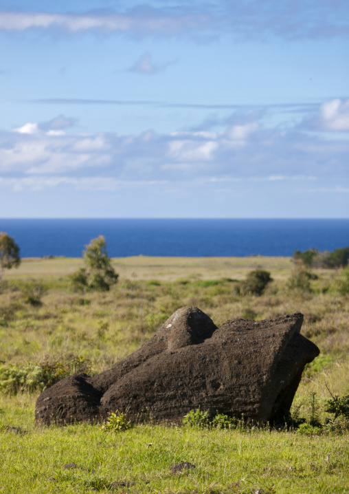 Moai head lying on the ground in rano raraku, Easter Island, Hanga Roa, Chile