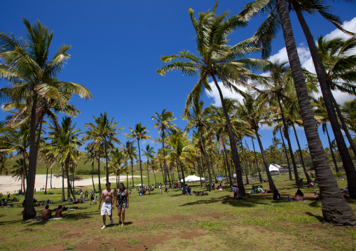 Palm trees in Anakena beach, Easter Island, Hanga Roa, Chile