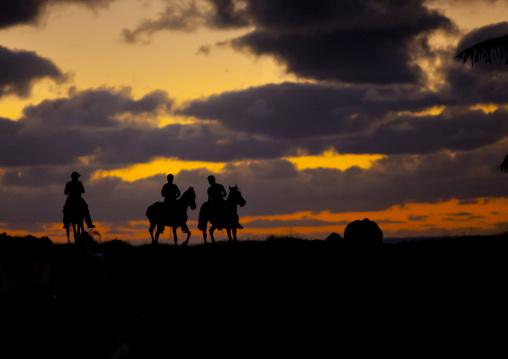 Horses in the sunset, Easter Island, Hanga Roa, Chile