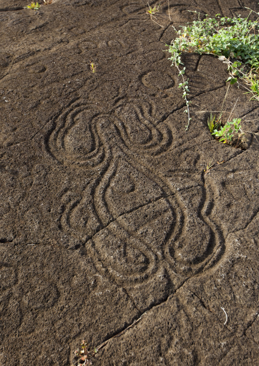 Petroglyph in paka vaka rock art site, Easter Island, Hanga Roa, Chile