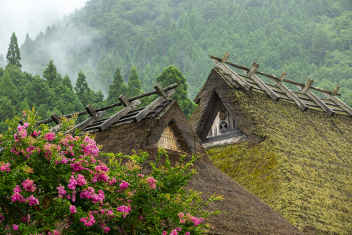 Thatched roofed house in a traditional village, Kyoto Prefecture, Miyama, Japan