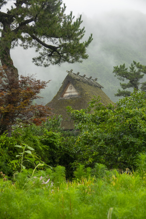 Thatched roofed house in a traditional village, Kyoto Prefecture, Miyama, Japan
