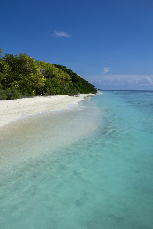Lush greenery lines a curving shoreline above a clear turquoise lagoon, Baa Atoll, Soneva Fushi, Maldives