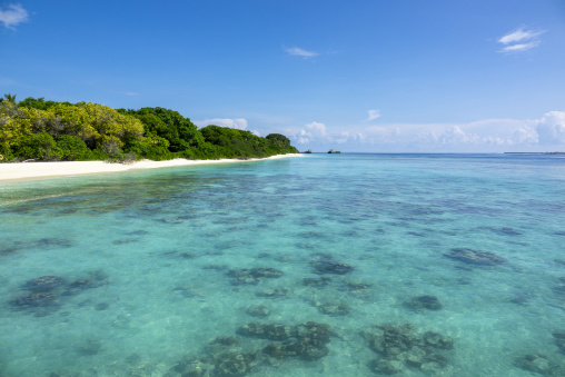 Coral reefs are visible beneath the clear water of a lagoon bordered by green trees, Baa Atoll, Soneva Fushi, Maldives