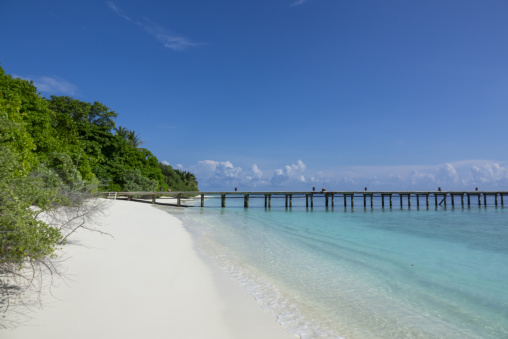 A long wooden jetty extends into a turquoise lagoon beside a forested shoreline, Baa Atoll, Soneva Fushi, Maldives