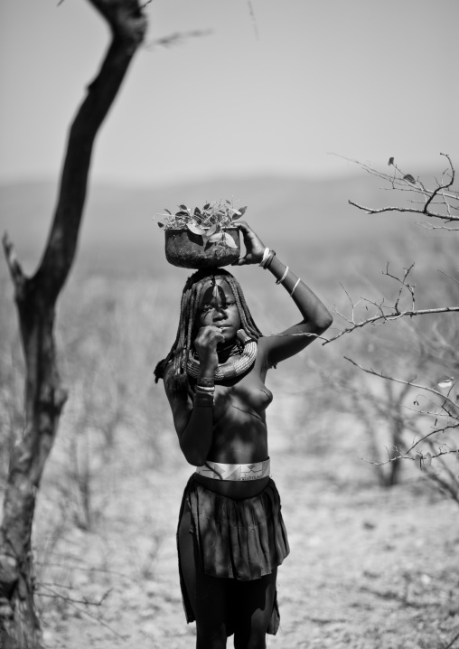 Himba Girl Carrying A Jar Filled With Leaves On Her Head, Angola