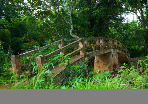 Bridge in the botanical garden, Cuanza Norte, N'dalatando, Angola