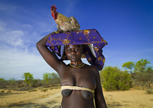Mucubal Carrying A Rooster On Her Ompota Headdress, Virie Area, Angola