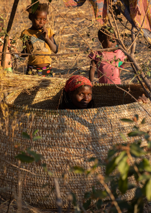Mwila tribe woman making a giant basket used to store the grains, Huila Province, Chibia, Angola