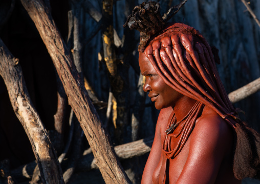 Himba tribe woman portrait, Cunene Province, Oncocua, Angola