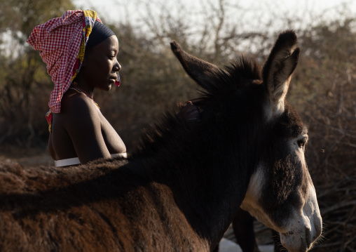 Mucubal tribe woman with a donkey, Namibe Province, Virei, Angola