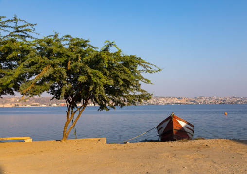 Fishing boat by a tree on the seashore, Benguela Province, Lobito, Angola