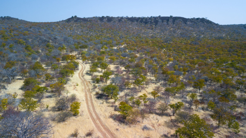 Aerial view of a dirt road in the bush, Cunene Province, Oncocua, Angola