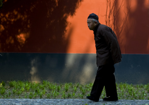 Old Chinese Man Walking, Beijing China