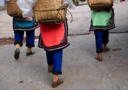 Women Carrying Baskets, Yuanyang, Yunnan Province, China