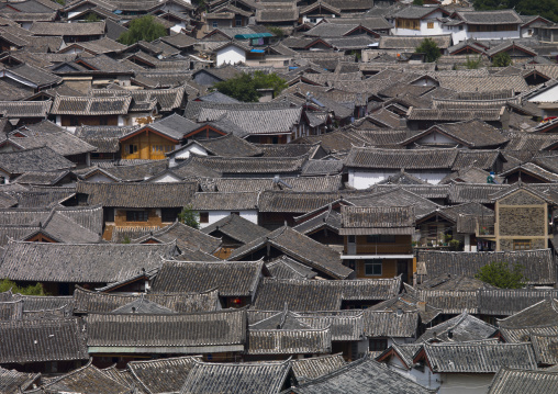 Roof Tops Of Old Town, Lijiang, Yunnan Province, China