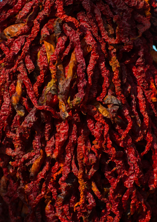Red hot chillies are being dried up, Tongren County, Rebkong, China