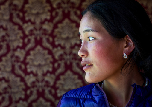 Portrait of a beautiful tibetan nomad woman, Tongren County, Longwu, China