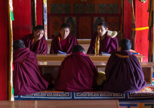Young monks from yellow hat sect praying in Bongya monastery, Qinghai province, Mosele, China