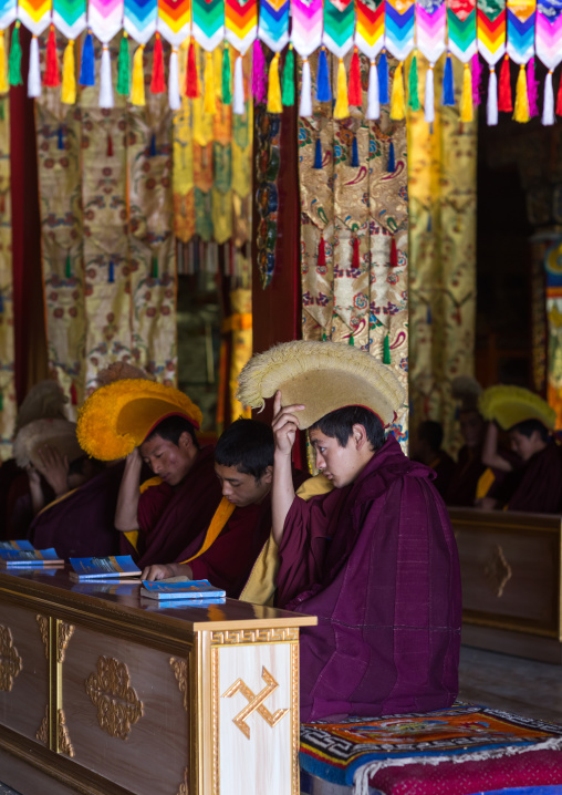 Young monks from yellow hat sect praying in Bongya monastery, Qinghai province, Mosele, China