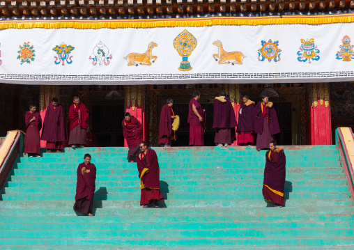 Tibetan monks of the gelug order or yellow hat sect on the stairs in front of the assembly hall in Bongya monastery, Qinghai province, Mosele, China