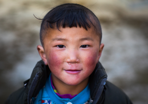 Portrait of a tibetan nomad child with his cheeks reddened by the harsh weather, Qinghai province, Tsekhog, China