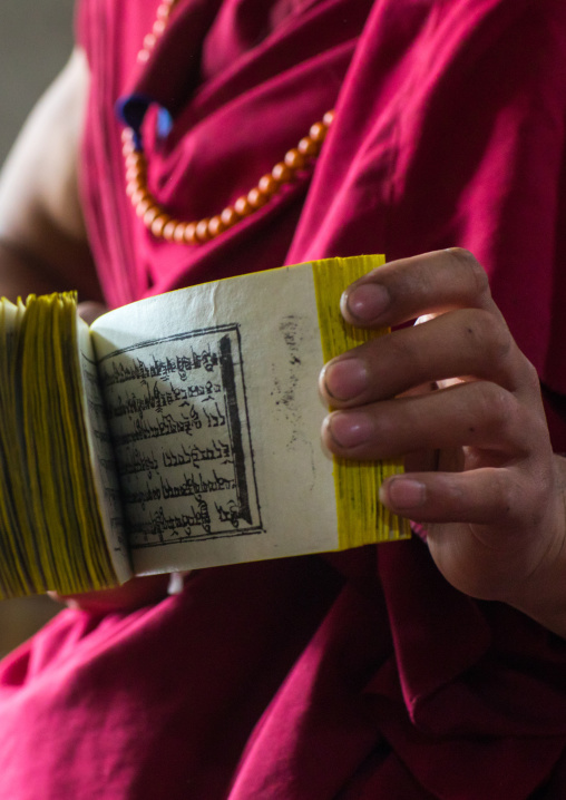 Monk showing some tibetan scriptures printed from wooden blocks in the monastery traditional printing temple, Gansu province, Labrang, China