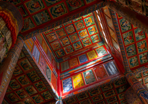 Decorated ceiling in Chonjgon monastery, Tongren County, Longwu, China