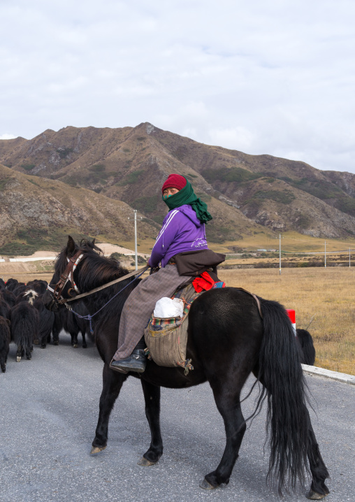 Tibetan woman on her horse, Qinghai province, Sogzong, China