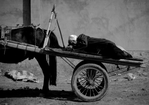 Old Uyghur Man Sleeping In His Cart, Serik Buya Market, Yarkand, Xinjiang Uyghur Autonomous Region, China