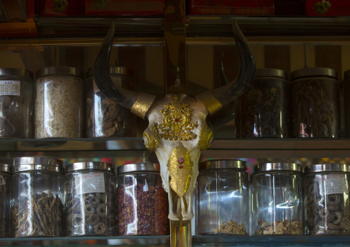 Dry Condiment And Spices decorated with a yak skull, Kashgar Bazaar, Xinjiang Uyghur Autonomous Region, China