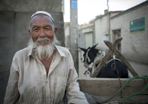 Old Uyghur Man And His Donkey-pulled Cart, Yarkand, Xinjiang Uyghur Autonomous Region, China