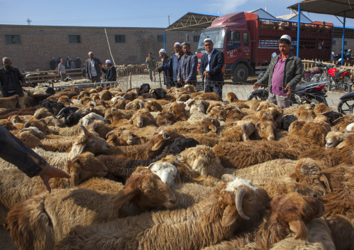 Uyghur Men Discussing Around Cattle, Serik Buya Market, Yarkand, Xinjiang Uyghur Autonomous Region, China