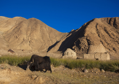 Kyrgyz Tombs Near Karakul Lake, Xinjiang Uyghur Autonomous Region, China