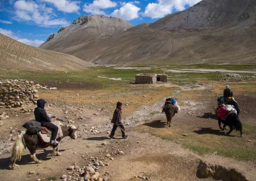 Treck in the pamir mountains with yaks, Big pamir, Wakhan, Afghanistan