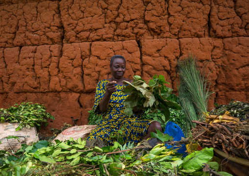 Benin, West Africa, Adjara, herbal market seller