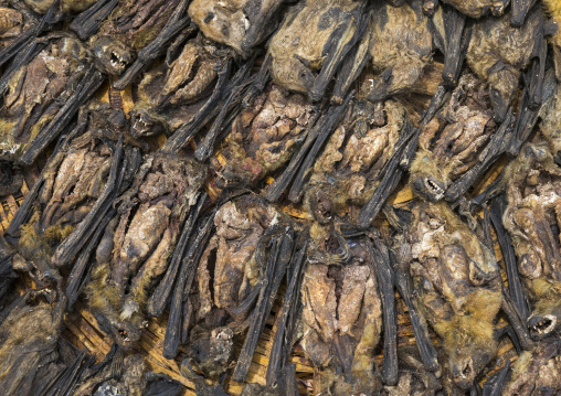 Benin, West Africa, Bonhicon, dead bats sold on a voodoo market