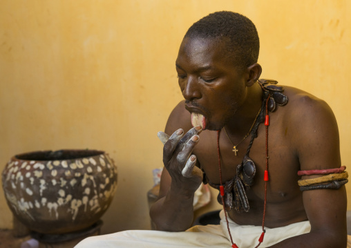 Benin, West Africa, Bonhicon, kagbanon bebe voodoo priest licking some talc powder during a ceremony