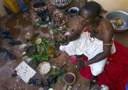 Benin, West Africa, Bonhicon, kagbanon bebe voodoo priest making a phone call during a ceremony