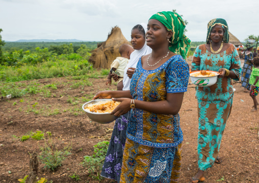 Benin, West Africa, Taneka-Koko, fulani peul tribe women bringing food for a wedding
