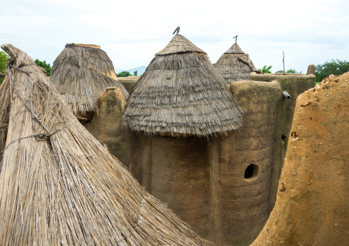 Benin, West Africa, Boukoumbé, traditional tata somba houses with thatched roofs and granaries